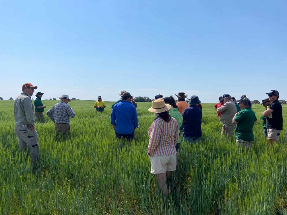 A Program Cultivating Farm Business Futures post image