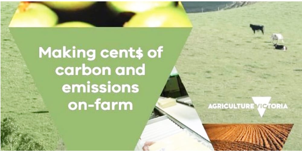 Lower Your Costs as You Lower Carbon Emissions post image