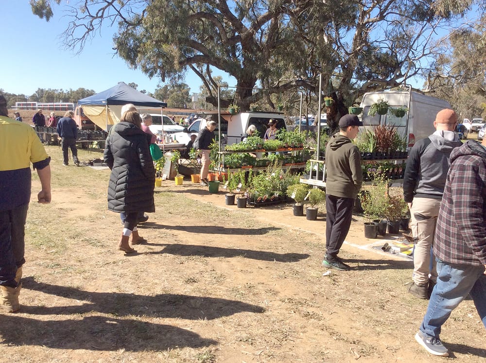 Charlton Lions Prepare for the 2024 Swap Meet post image