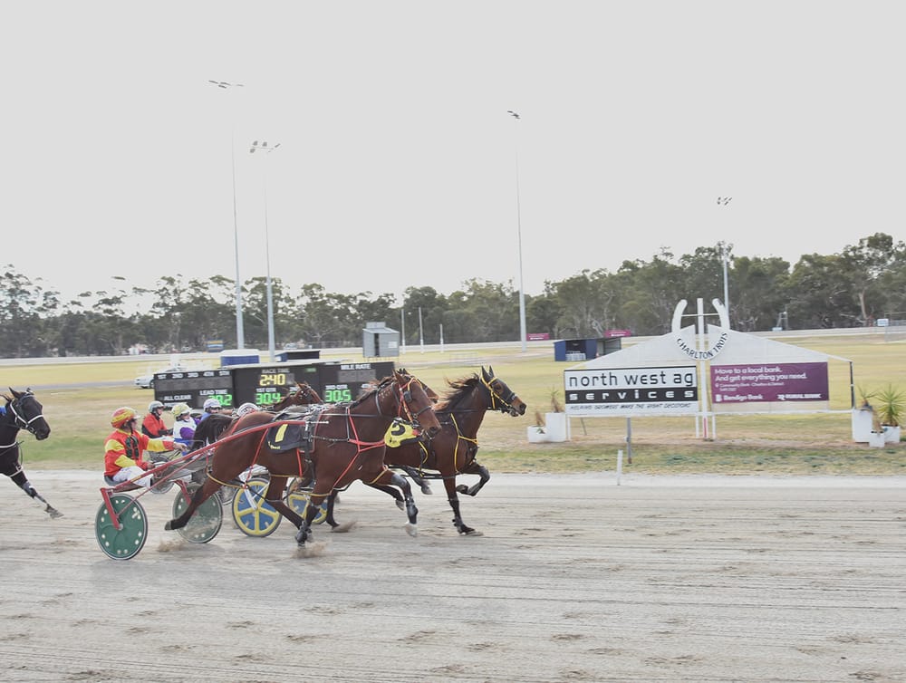 Changes Needed in Harness Racing post image