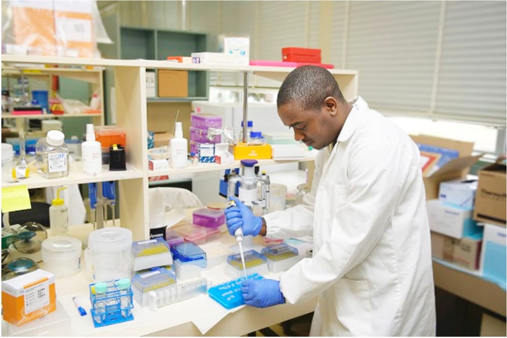 Safeguarding Seed at Grains Genebank post image