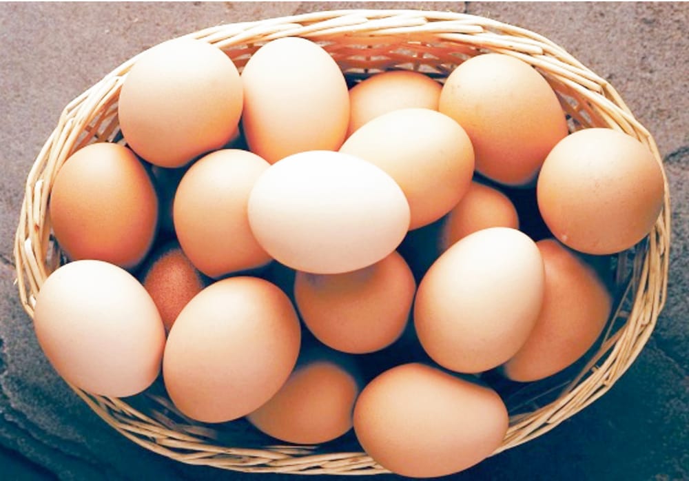 Steps for Egg Safety post image