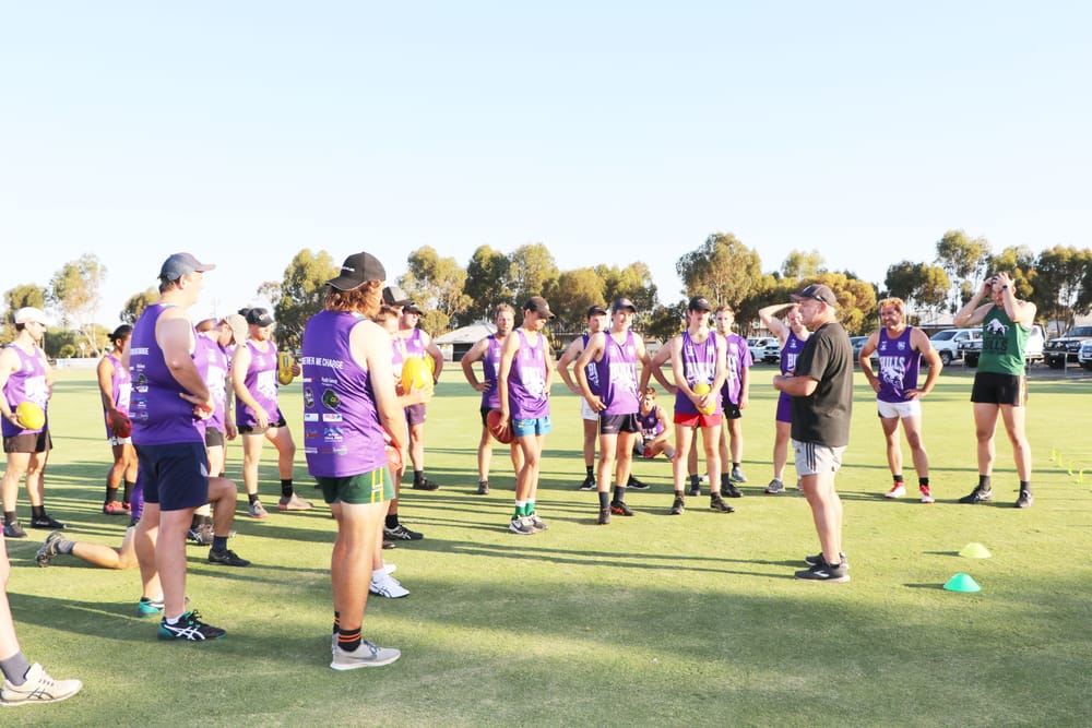 Bulls at Minyip Tomorrow post image