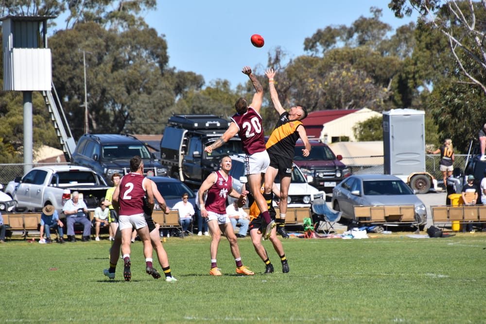 Tigers, Premiers and Champions post image