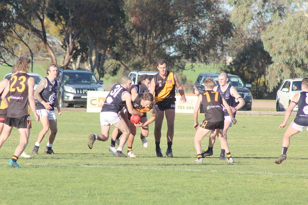 Classy Tigers Remain Undefeated post image