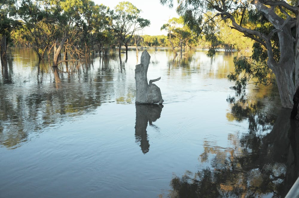 Richardson Riverscape Rearranged — New Lookout for Bullock’s Head post image