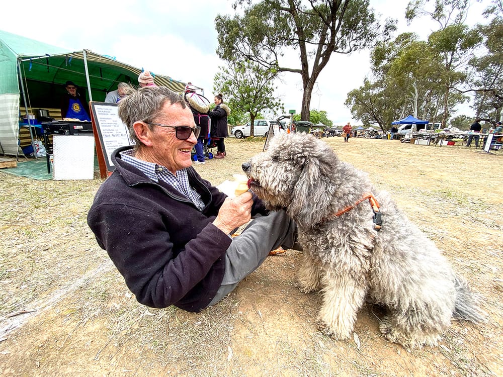 Super Sunday in Charlton: Things to Do, Places to See post image