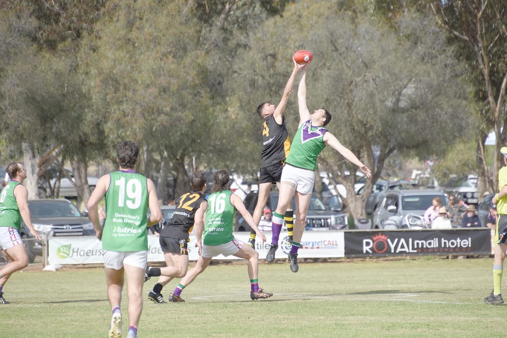 Who Can Challenge the Tigers? post image