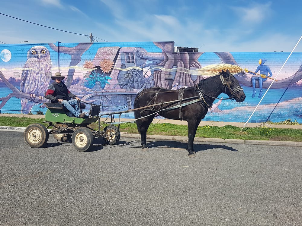 Tag-Along with Ted post image