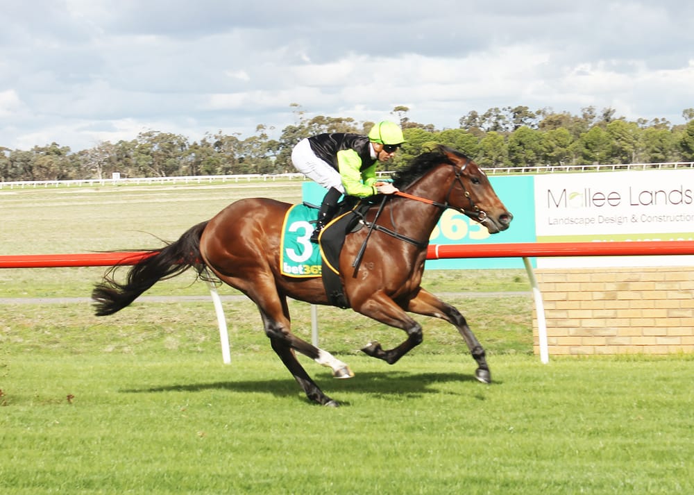 Weir’s IGA Classic Race Day at Donald: Holland Wins Three post image