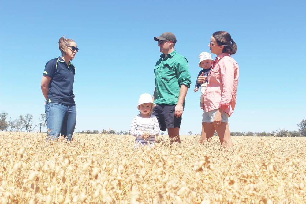 Drought Hub’s “a Better Way” post image