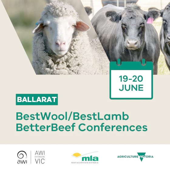 Early Bird Tickets: BestWool, BestLamb and BetterBeef Conference post image