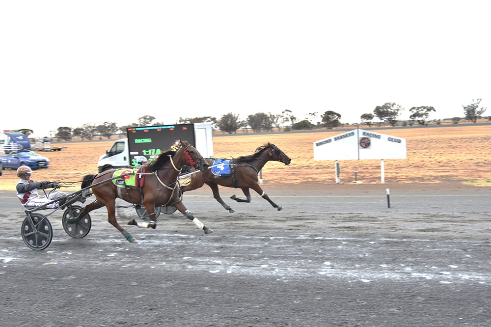 Mallee Bull Cup – Abandoned post image