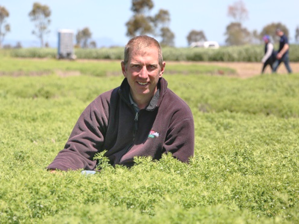 Look for Lentils with Good Variety Resistance post image
