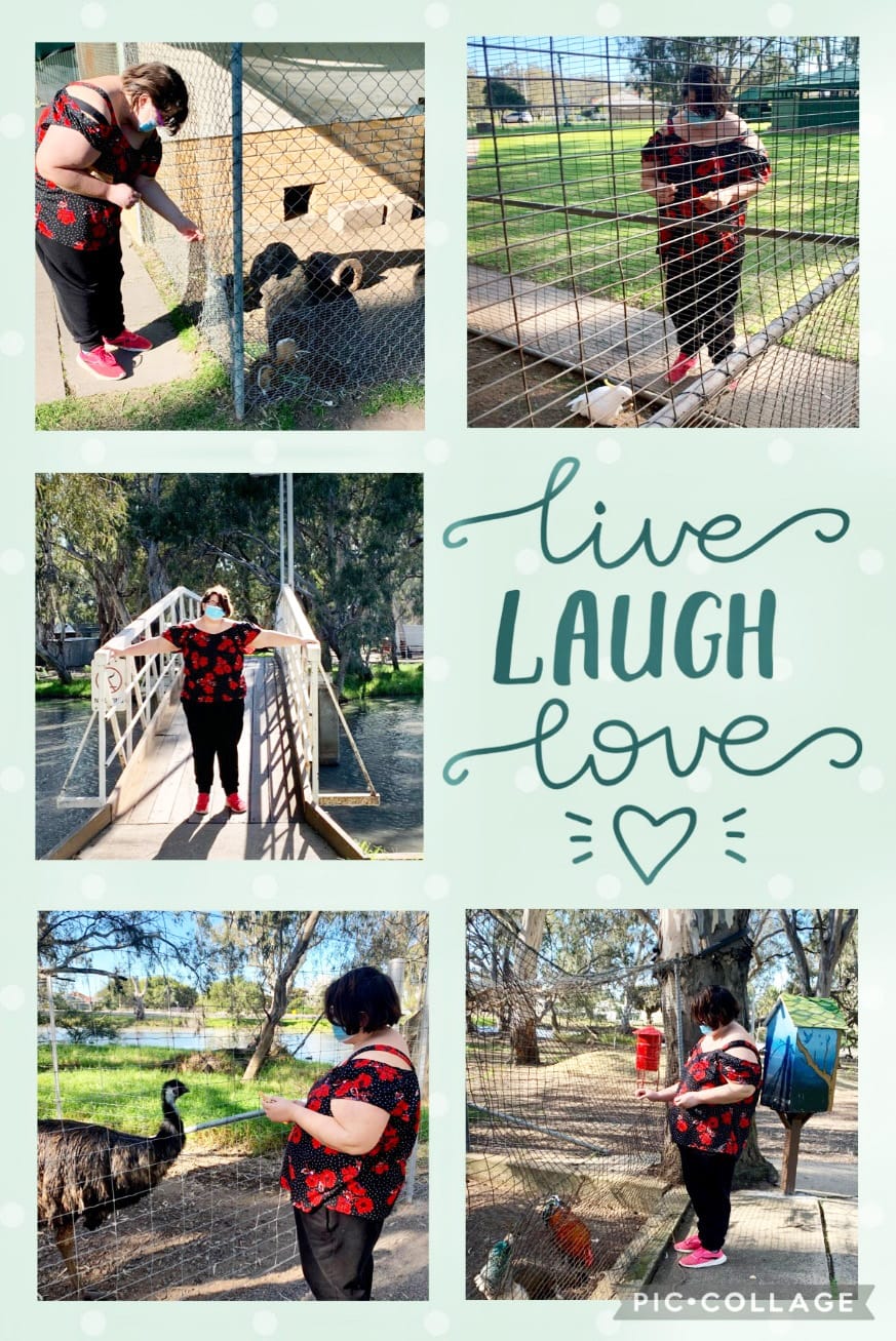 DCIRS — Service with a Smile post image