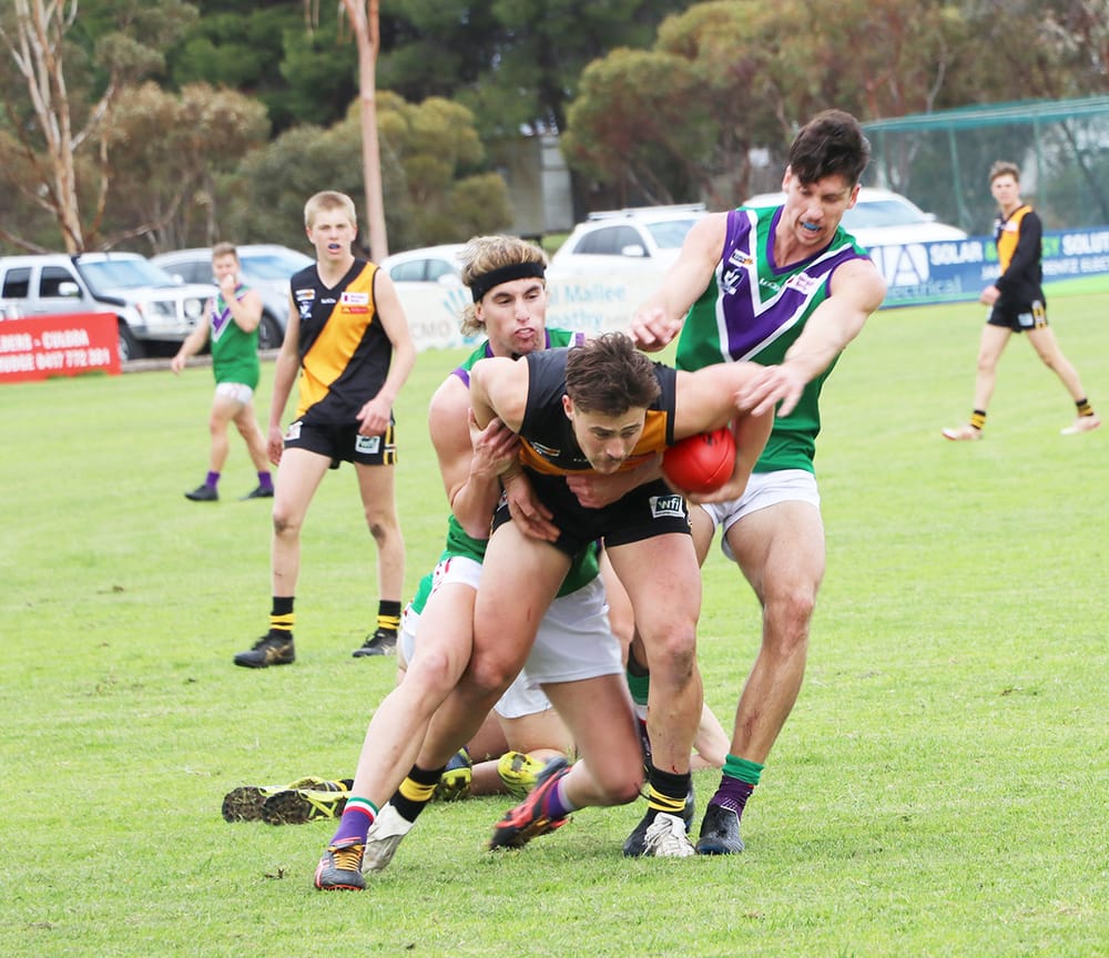 Magnificent Bulls Set Season Alight post image