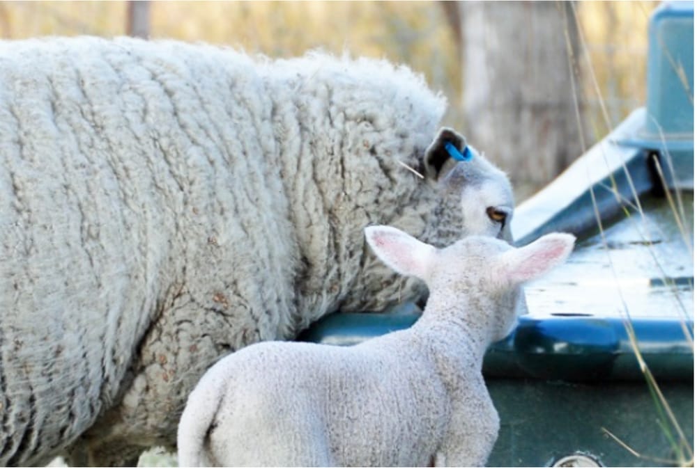 Don’t Let the Heat Evaporate Profits post image