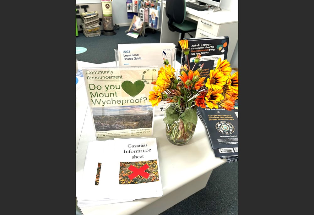 Community and Connection post image