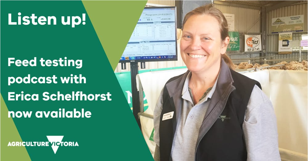 Latest Mallee Podcast post image