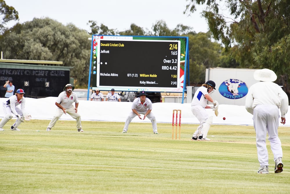 Cricket Makes a Splash! post image