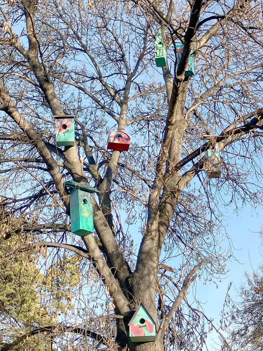 High Rise Homes in Buloke post image