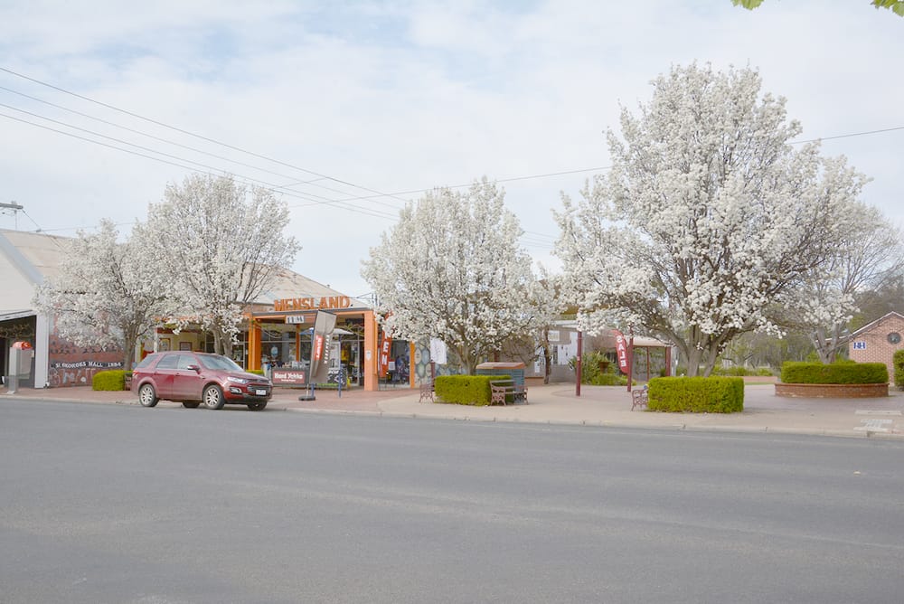 Harbingers of Spring post image