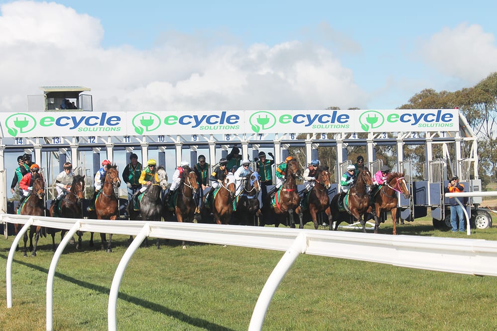 They’re Racing! – from the New Starting Chute post image