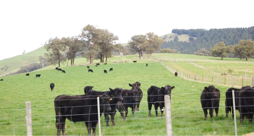 Have You Heard of “Bucks for Brains?” post image