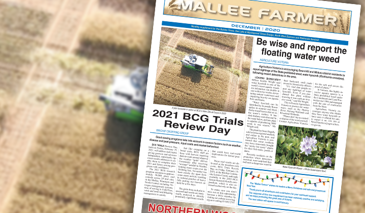 DECEMBER - Friday, December 11, 2020 post image