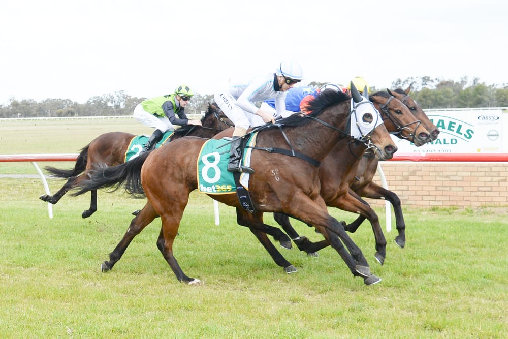 All the Action from Friday’s Donald Races: Triple Treat and a Dead Heat post image