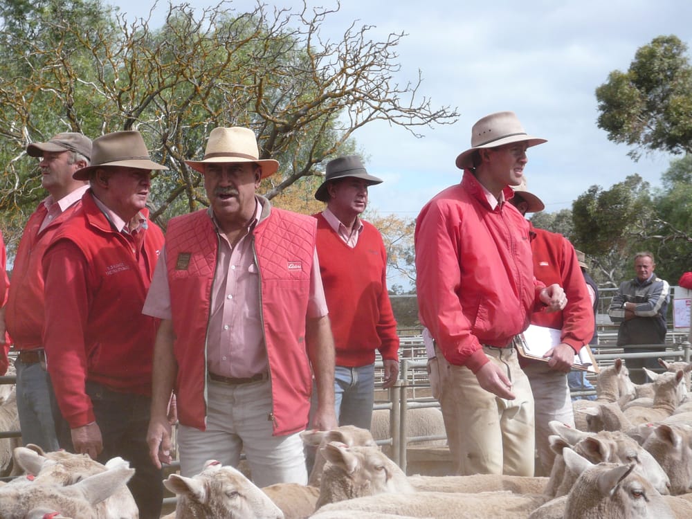 An Auctioneer for Every Season post image