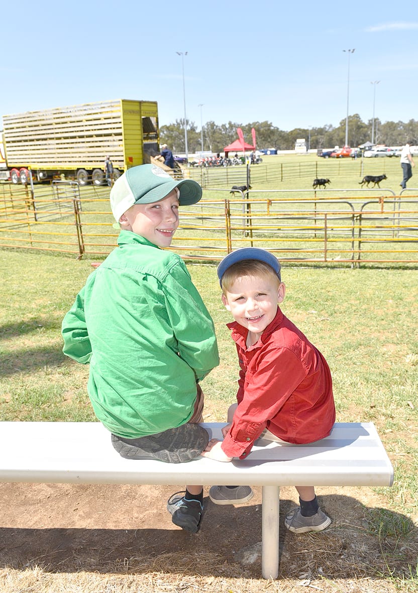 It’s Charlton Show Day post image