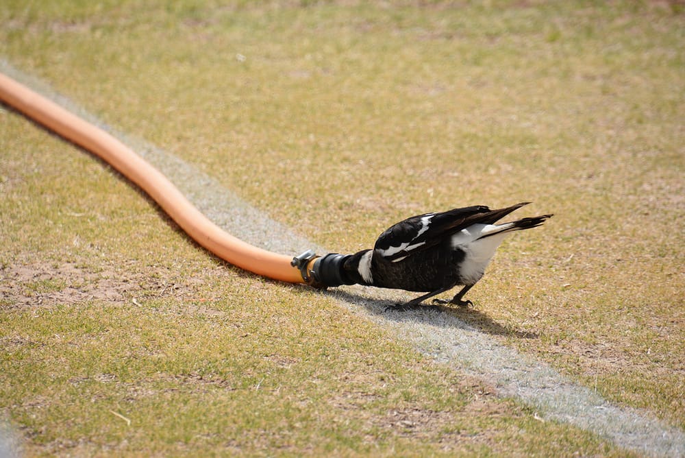 Never Miss an Opportunity post image