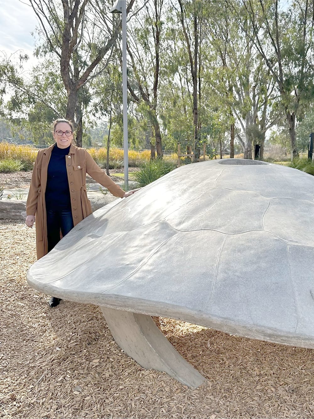 Buloke Shares in Tiny Town Funds post image