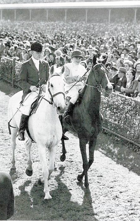 “Rimfire, You Beauty!” – Progress on Birchip Silo Art Project post image