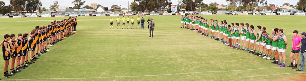 Tigers In A Thriller post image