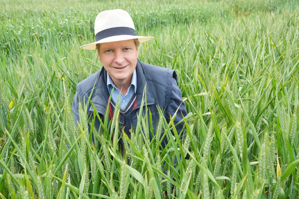 New Pre-emergent Chemistry at BCG Trials Review Day post image