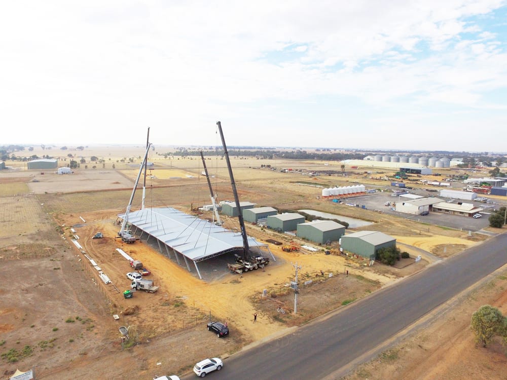 Kooka’s New Nest Takes Shape post image