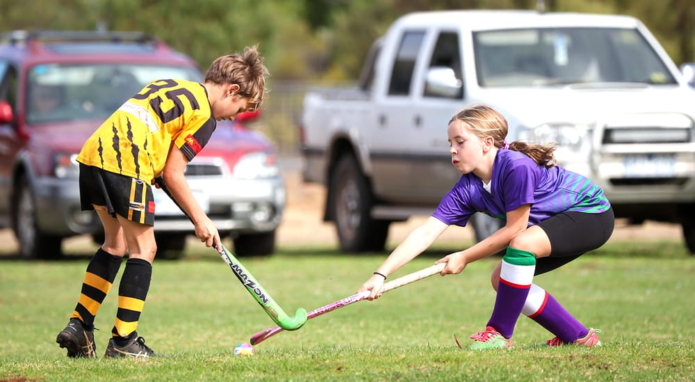 Bulls and Tigers Share Junior Hockey Spoils post image