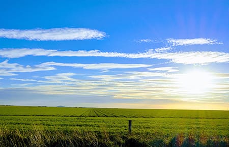 On-Farm Emissions Action Plan Pilot post image