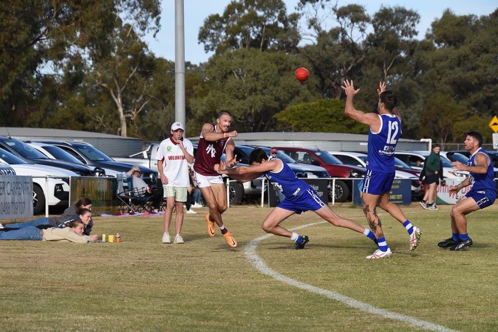 Donald Back on the Winners’ List post image