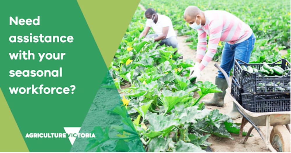 Do You Need Seasonal Workforce Assistance? post image