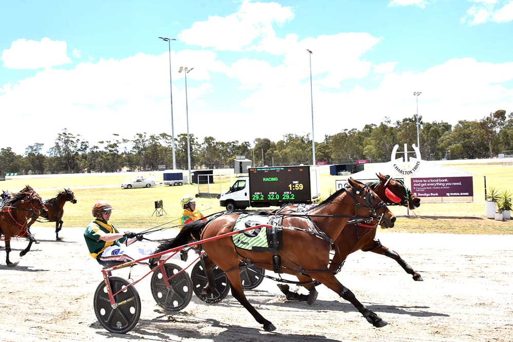 Competitive Harness Racing at Charlton post image