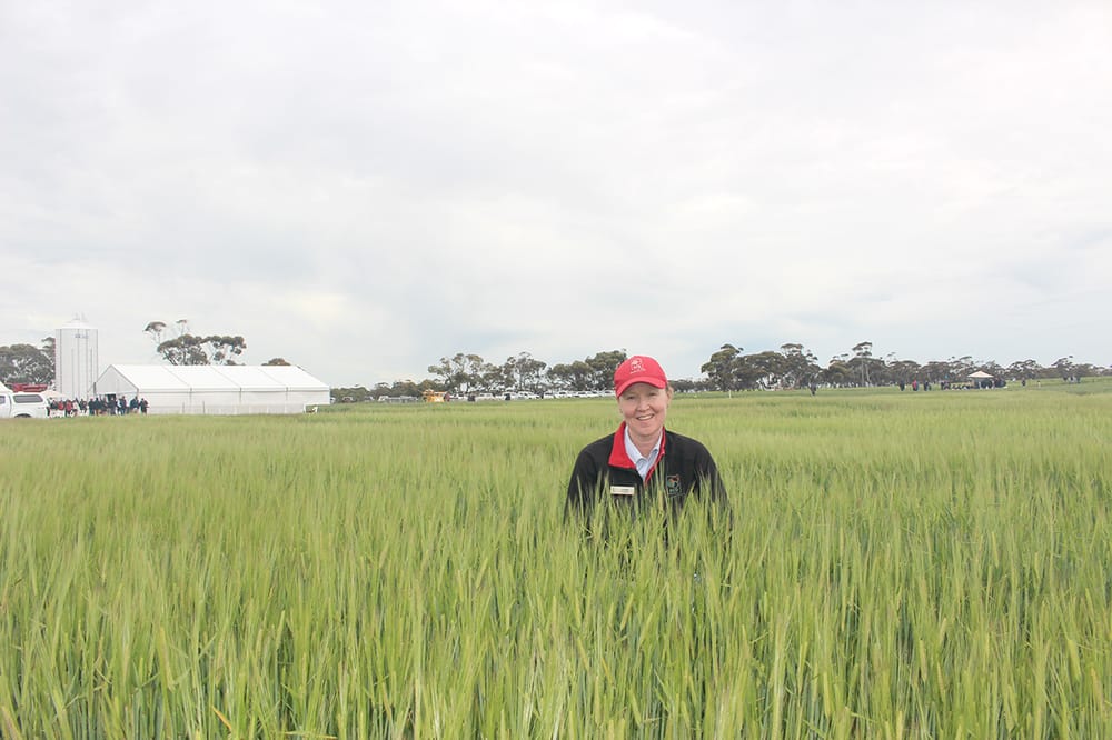 Book September 13 for BCG’s Main Field Day post image