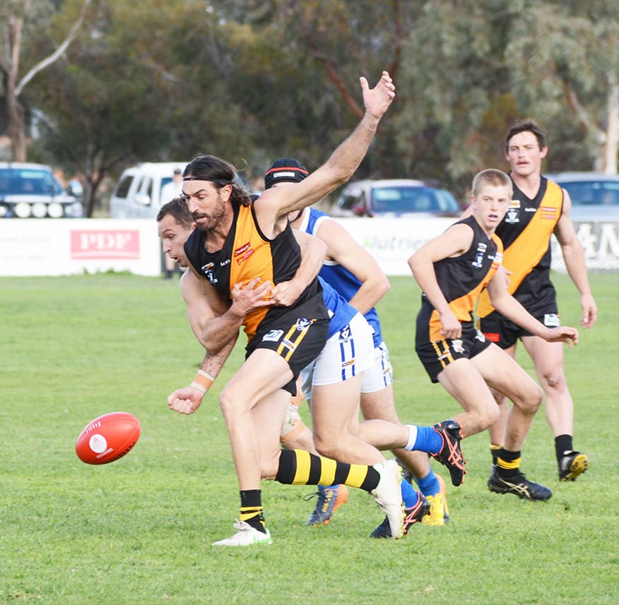 “D” Day for Royal Blues and Tigers post image