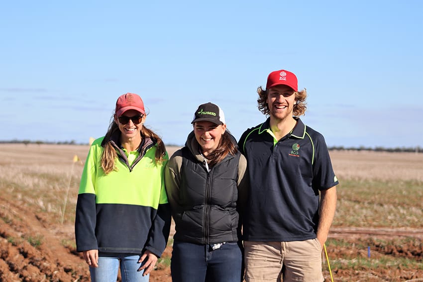 Science Student’s BCG Placement post image