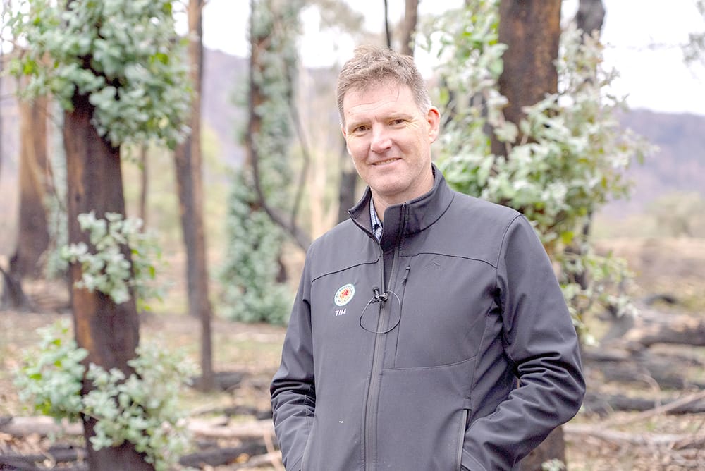 Ahead of Increased Fire Risk . . . Prepare Your Property post image