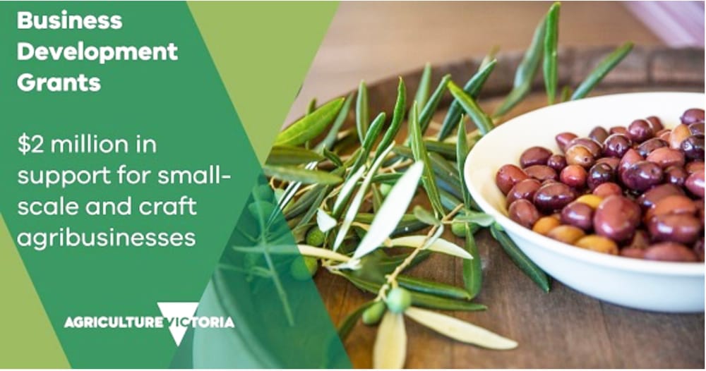 Big Boost for Small-Scale Craft and Agribusinesses post image