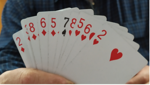 Senior Citizens to Celebrate Milestone post image