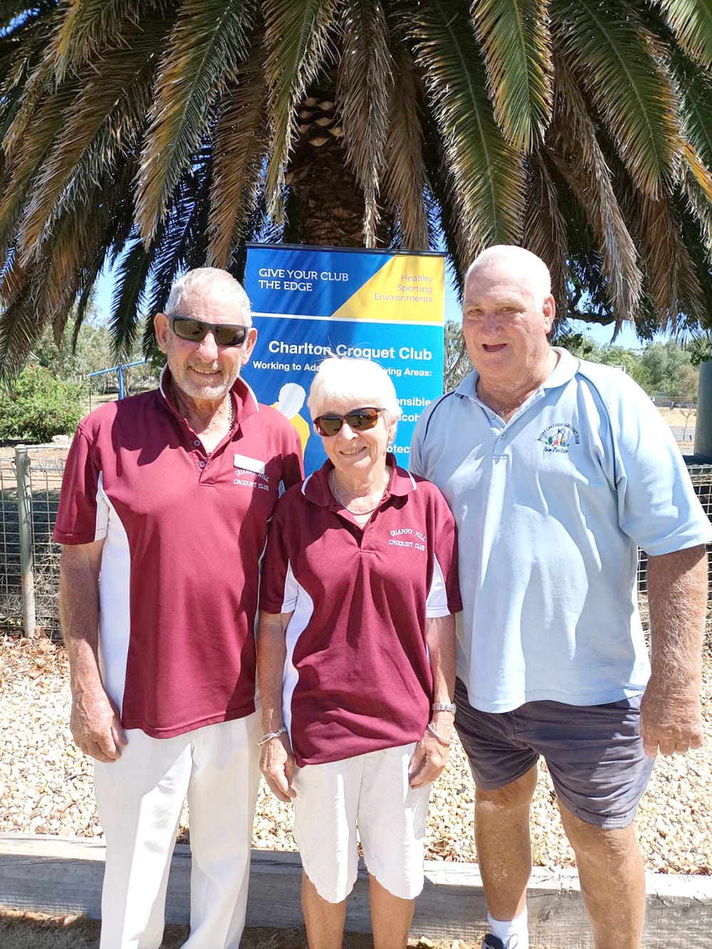 Visitors Shine at Charlton Croquet post image